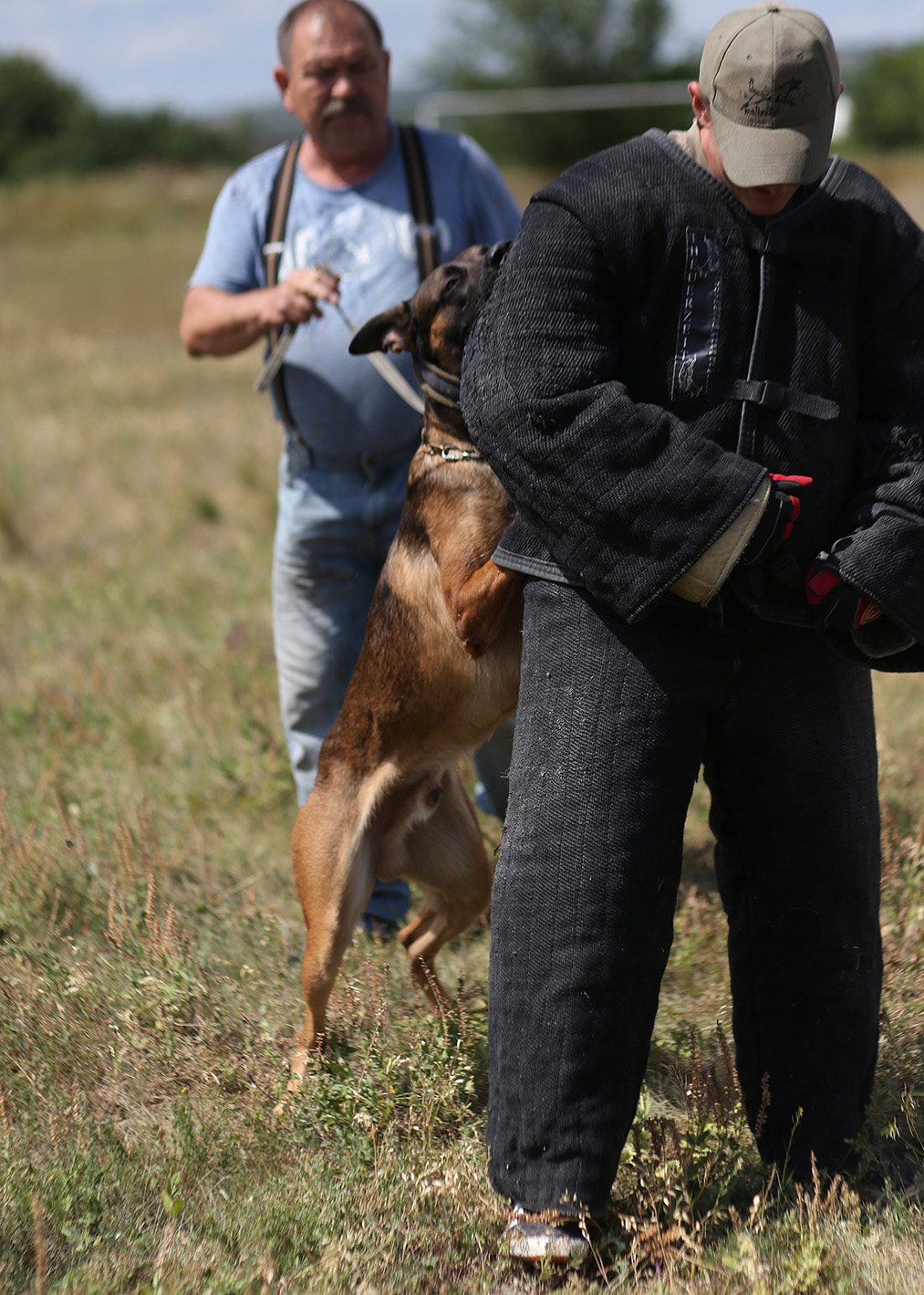 Защита, Дрессировка Днепр, K-9 Aus Sursko-Litovsk